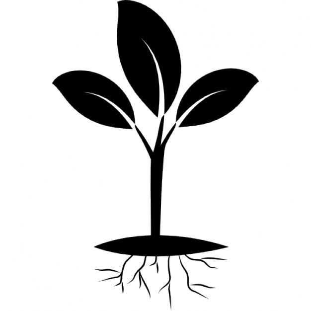 Green Tree Roots Icon On White Stock Illustration 735179974 