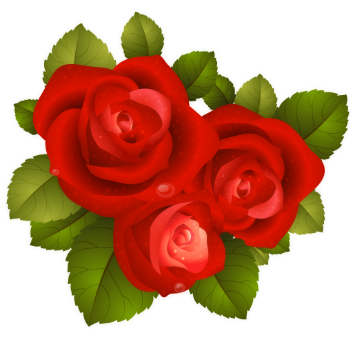 Bloom, floral, flower, plant, rose, valentine, valentines day 