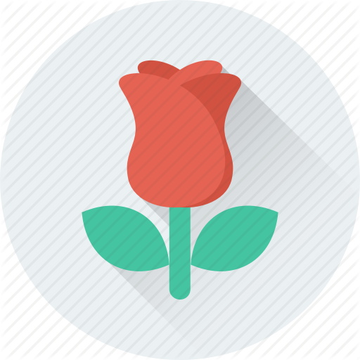 Beauty, floral, flower, garden, plant, rose, rosebud icon | Icon 