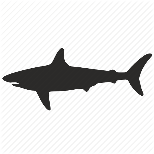 Form, shark icon | Icon search engine