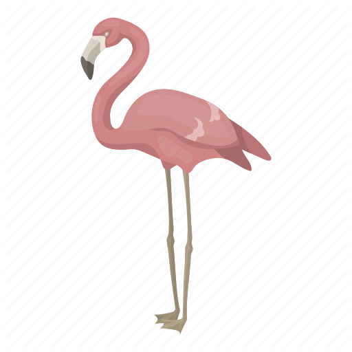 flamingo # 176178