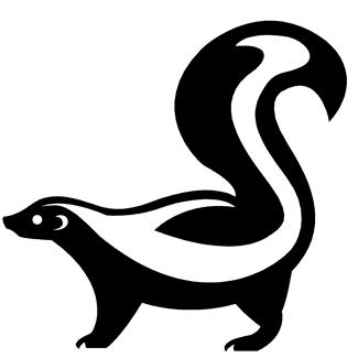 Skunk cartoon vector illustration in flat design. Skunk eps 