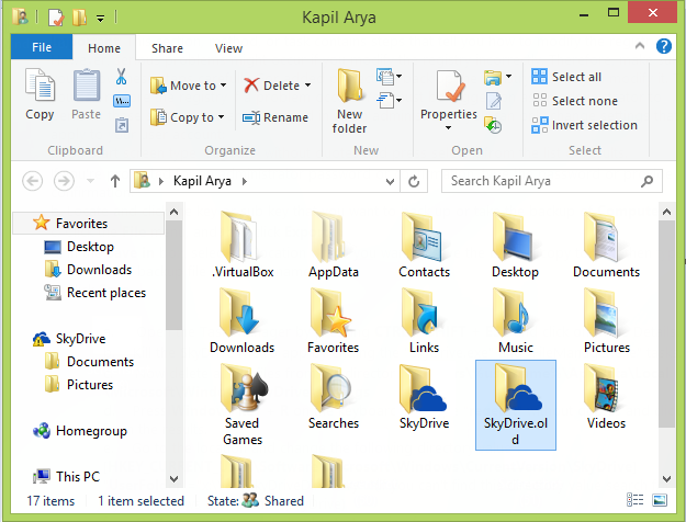 SkyDrive Icon - Flat Icons Add-on 1 