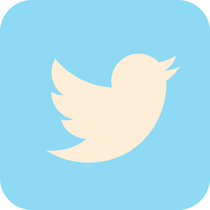 media, bird, Logo, twitter, Social, online, Communication icon