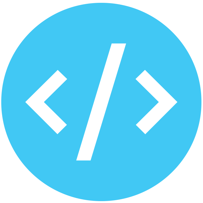 Software developer vector icon