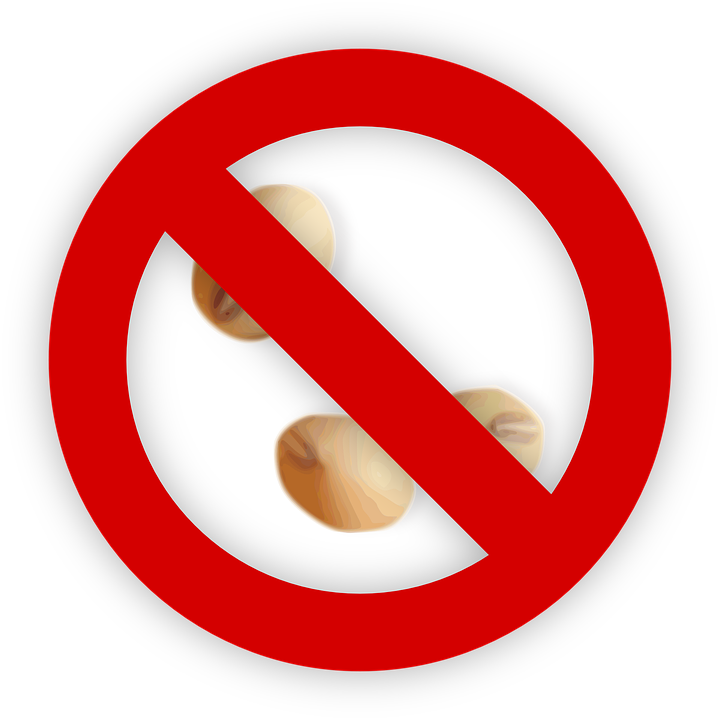 Soybean icons | Noun Project
