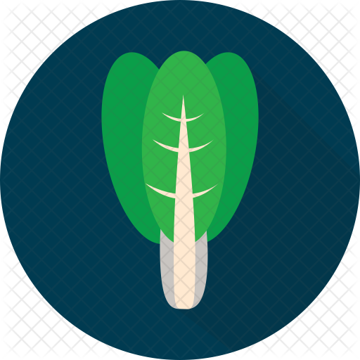 Spinach Icon - Agriculture  Farming Icons in SVG and PNG - Icon Library