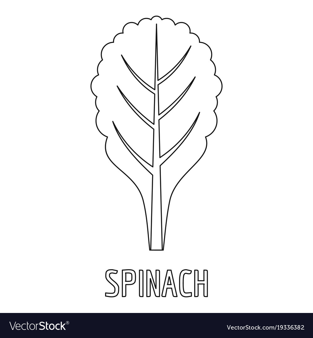 Cartoon, food, healthy, ingredient, salad, spinach, vegetable icon 
