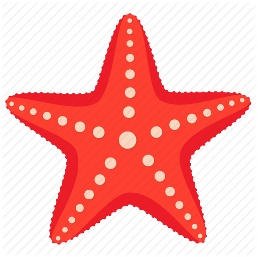 Starfish,Pink,Red,Star,Echinoderm,Design,Pattern,Marine invertebrates,Polka dot