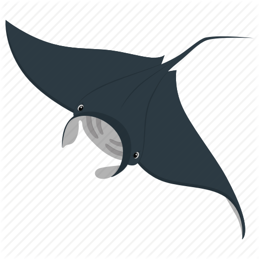 manta-ray # 259377