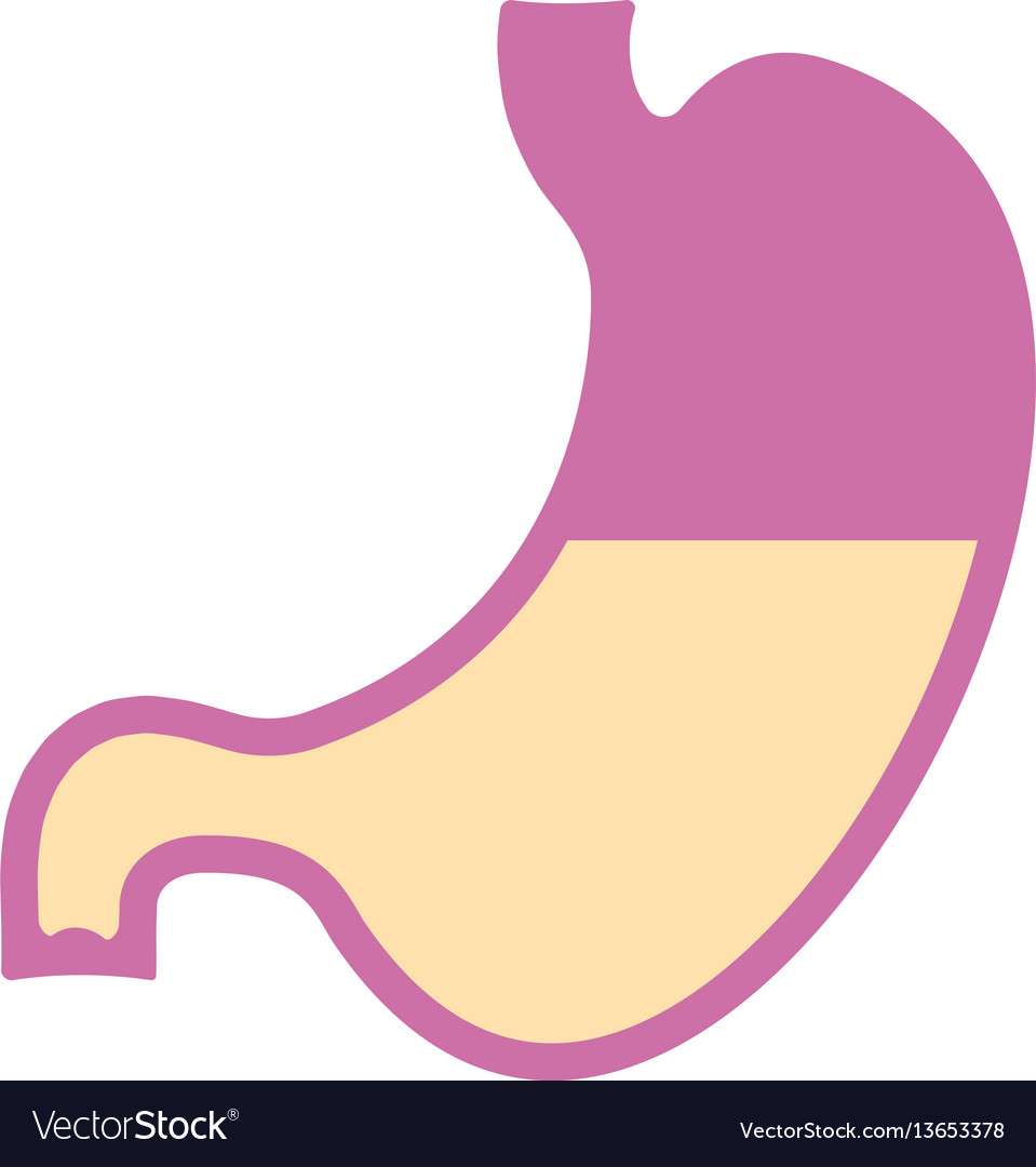 Stomach Svg Png Icon Free Download (#444911) 