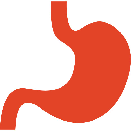 Stomach Icon - Healthcare  Medical Icons in SVG and PNG - Icon Library