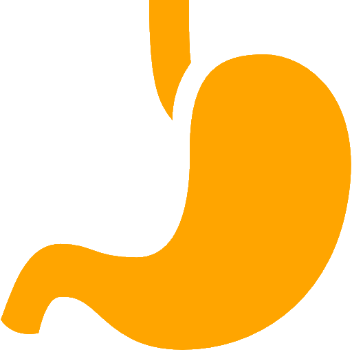 Stomach icons | Noun Project