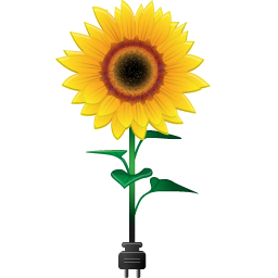 sunflower-seed # 259795