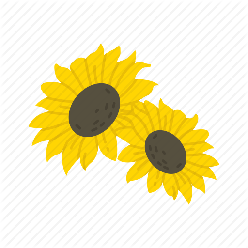 sunflower-seed # 260737