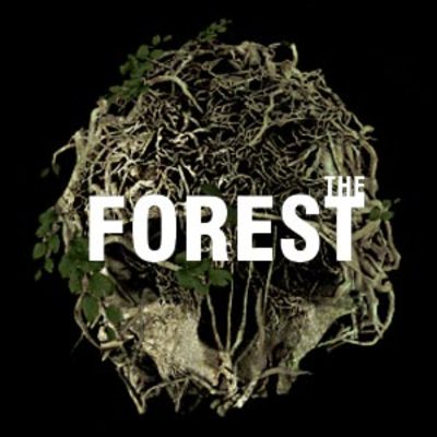The Forest PNG icon by Vezty 