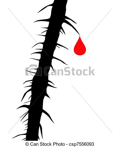 Drop blood on thorn of the wild rose drawings - Search Clipart 