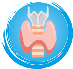 Thyroid - Free medical icons