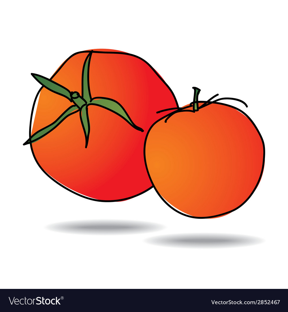 Freehand drawing tomato icon Royalty Free Vector Image