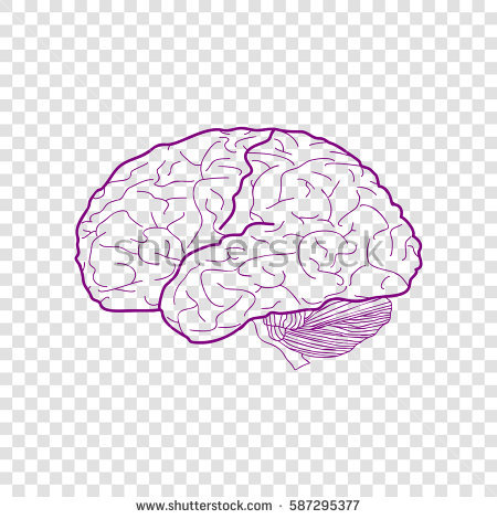 Total-Brain