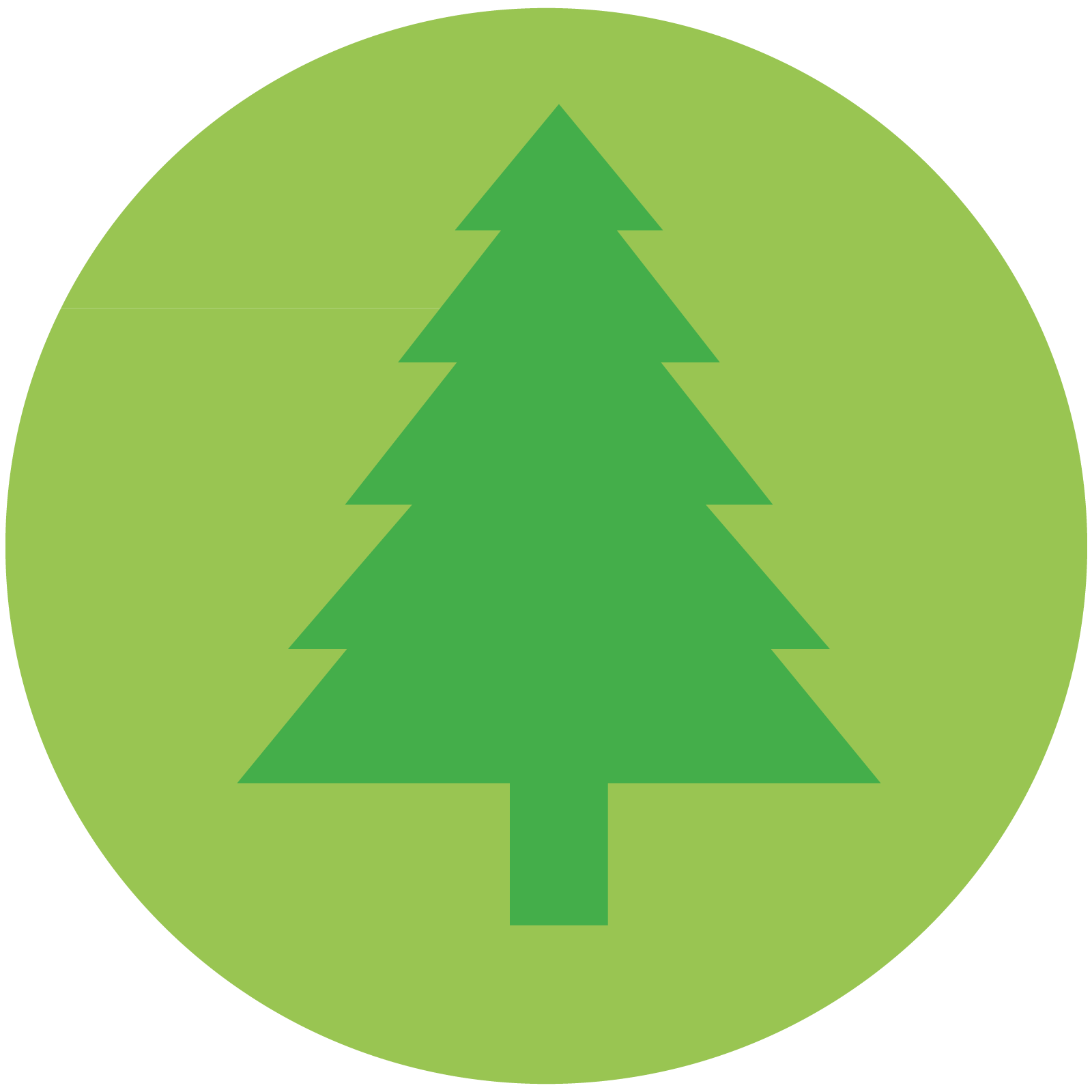 Green,Christmas tree,Tree,Leaf,oregon pine,Christmas decoration,Colorado spruce,Conifer,Pine,Plant,Pine family,Fir,Evergreen,White pine,American larch,Interior design