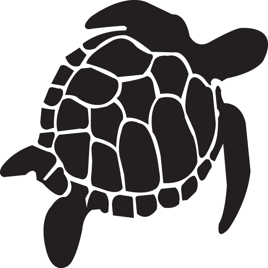 loggerhead-sea-turtle # 262176
