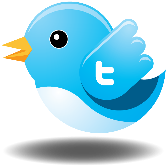 Twitter Bird Icon Png 299463 Free Icons Library