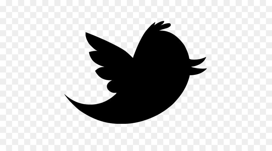 new twitter bird vector by eagl0r 