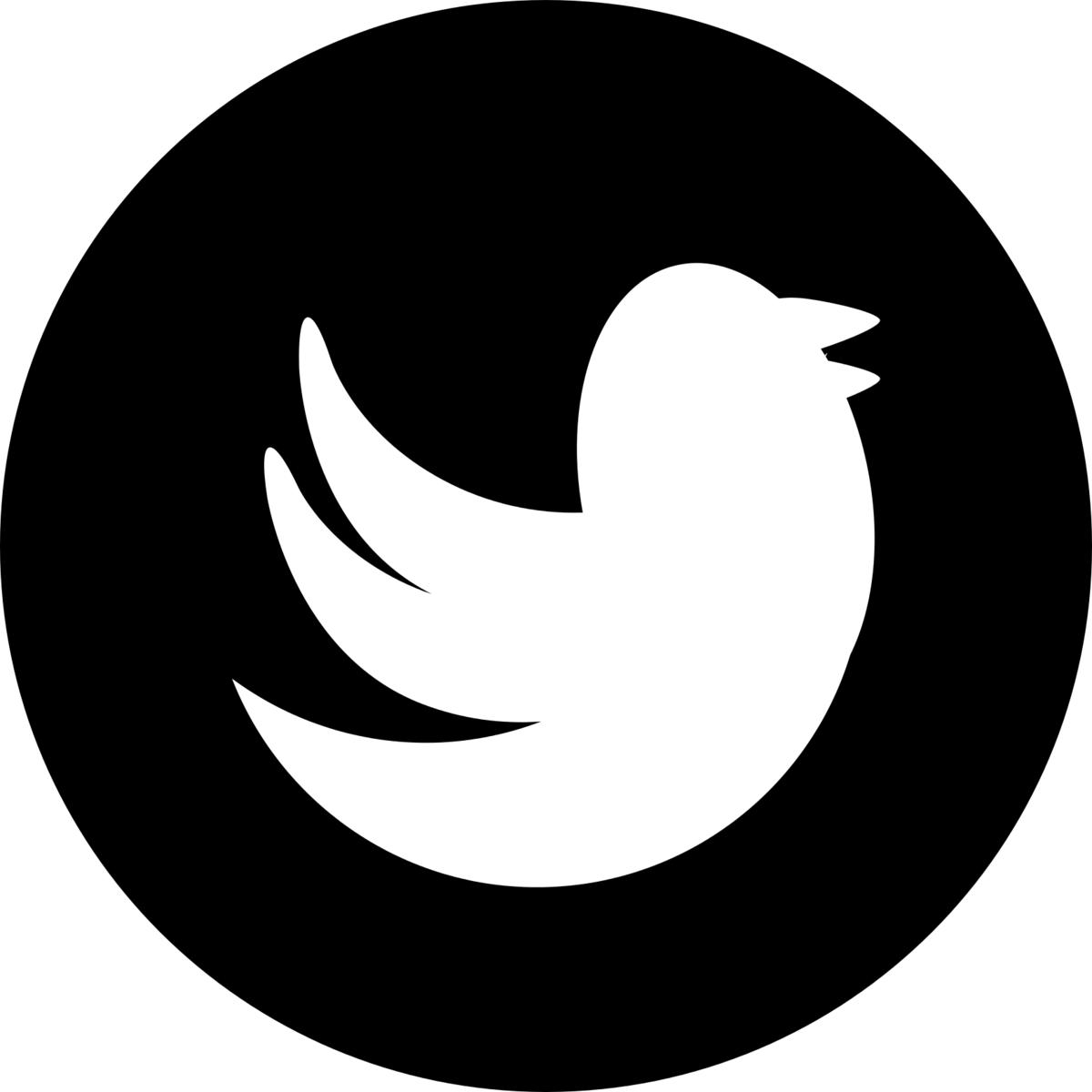 twitterbird, Blue twitter, twitter logo, twitterbird logo icon