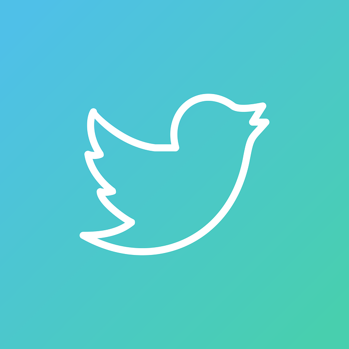 Twitter 3d Icon | Vector Twitter Iconset | Iconshock