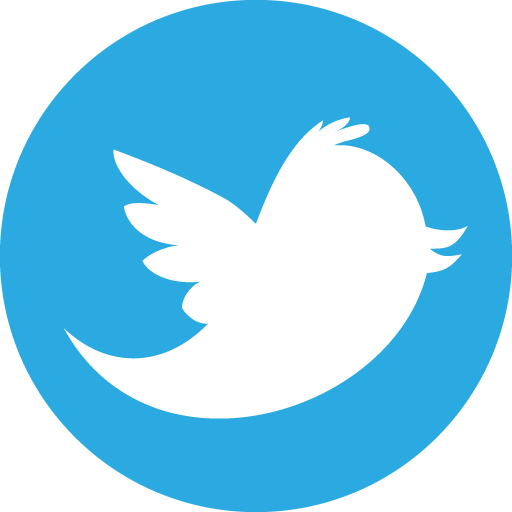 Social media twitter SkyBlue Icon