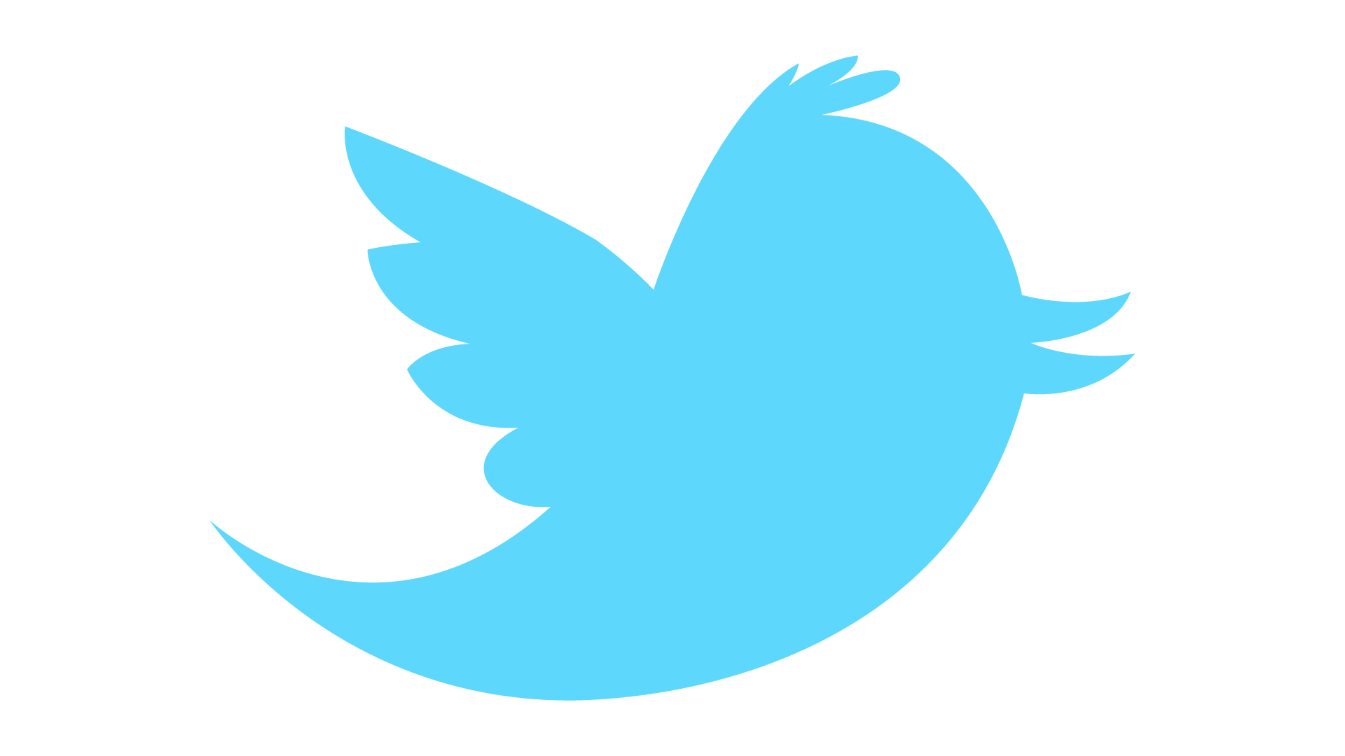 Twitter Logo Vector PNG Transparent Twitter Logo Vector.PNG Images 