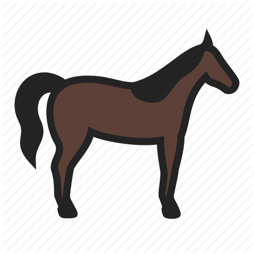 mustang-horse # 179934