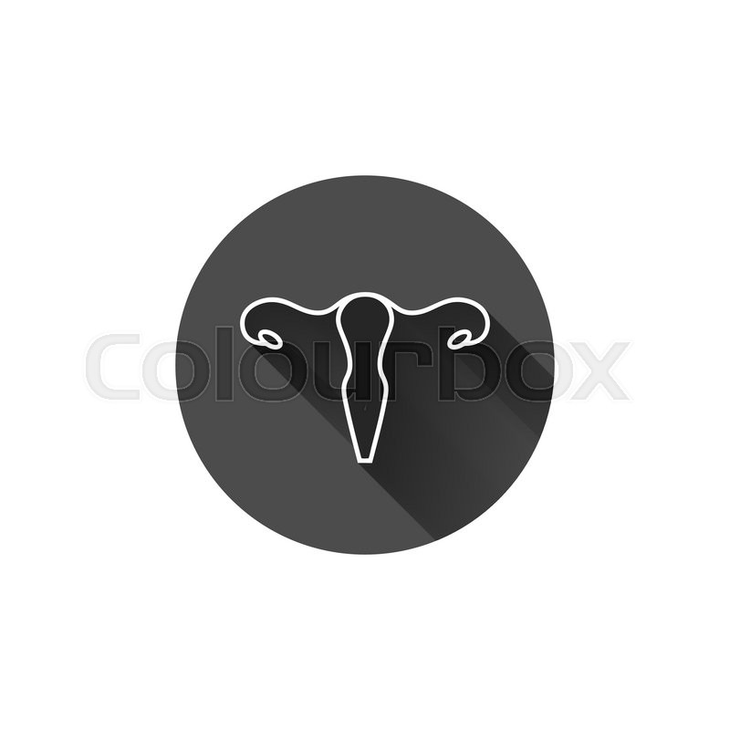 Anatomy, childbearing, embryo, organ, uterus icon | Icon search engine