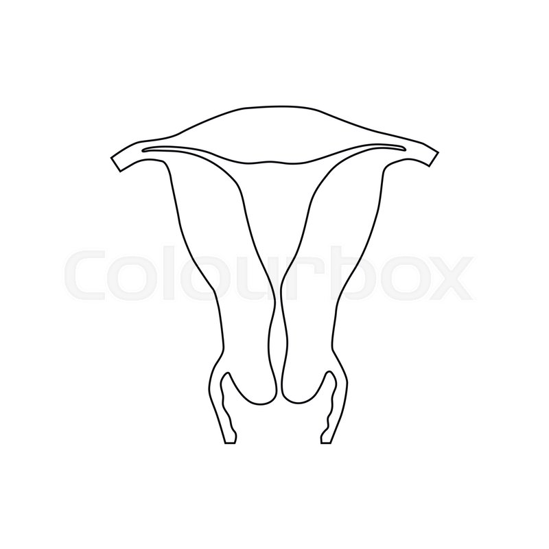 Uterus icons | Noun Project