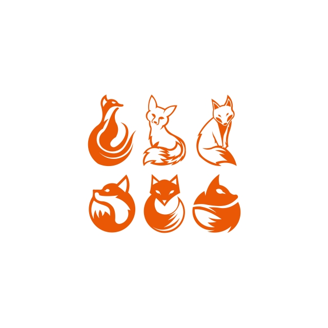 Orange,Logo,Font,Graphics,Clip art