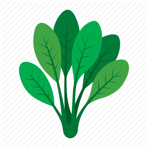 Green,Leaf,Plant,Botany,Flower,Grass,Graphics,Clip art,Logo,Flowering plant,Illustration