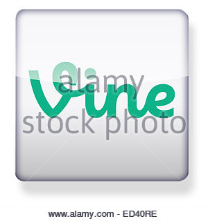 Vine logo as an app icon. Clipping path included Stock Photo 