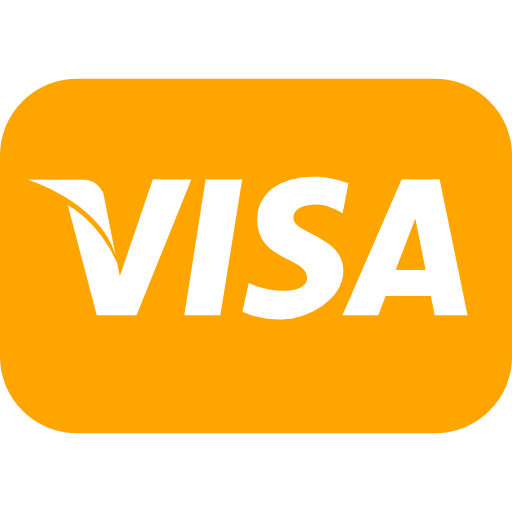 Bank, bank card, debit card, finance, money, payment, visa icon 