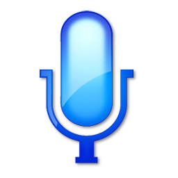 voice Flat Icon