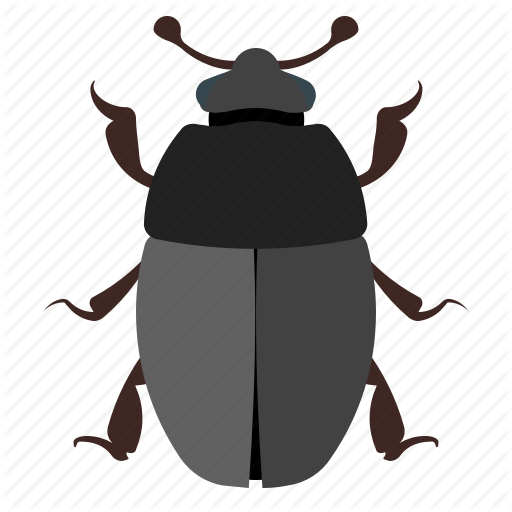 ground-beetle # 181468
