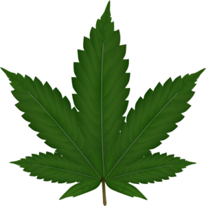 Weed.png icon download - iConvert Icons