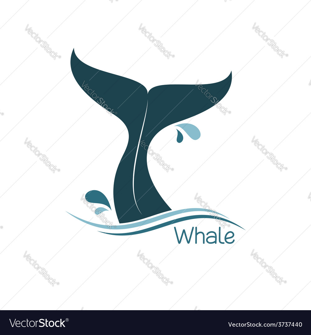Fish, ocean, sea, summer, tail, whale icon | Icon search engine