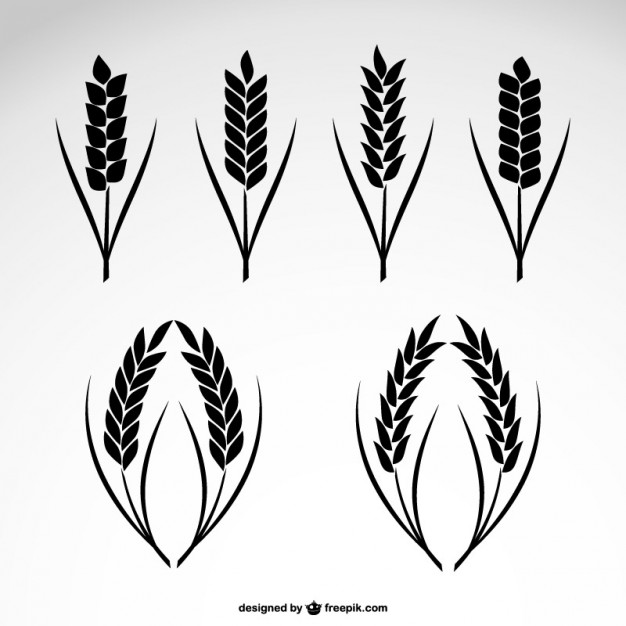 Wheat ear icon Royalty Free Vector Image - VectorStock