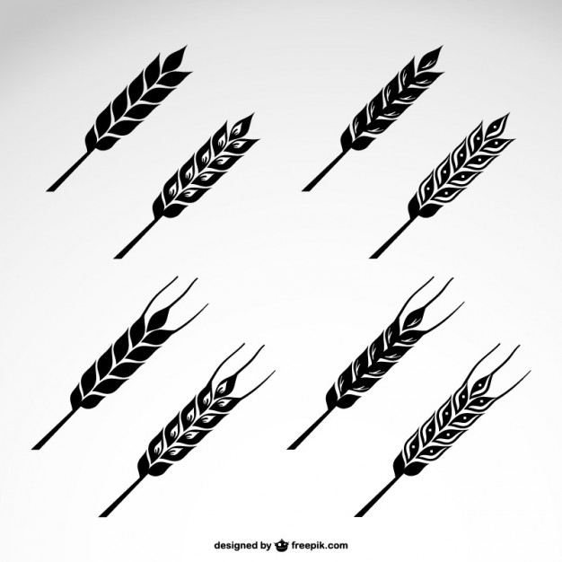 Wheat Free Vector Art - (3678 Free Downloads)
