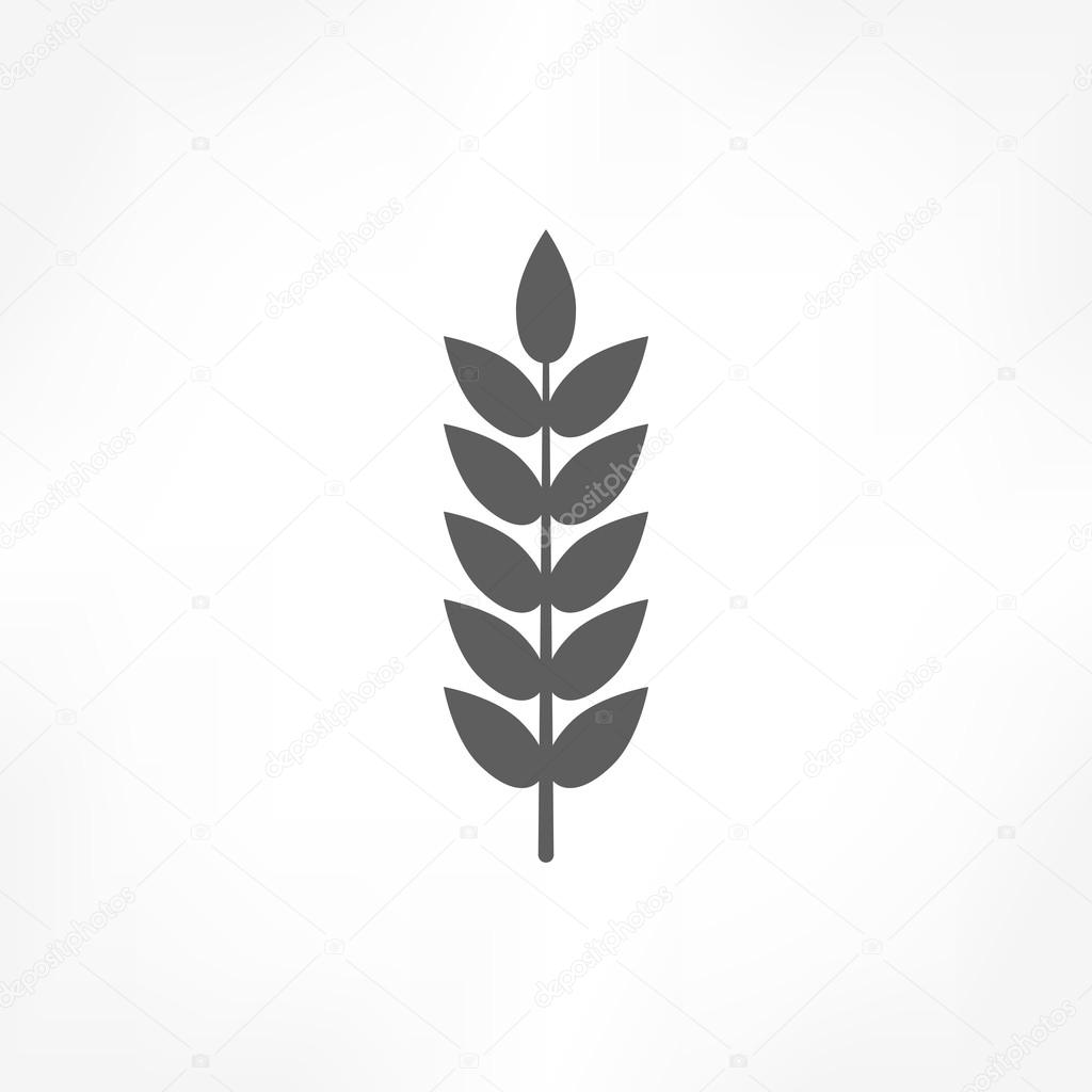 Thin Line Wheat Icon. Vector Illustration Isolated On A White 