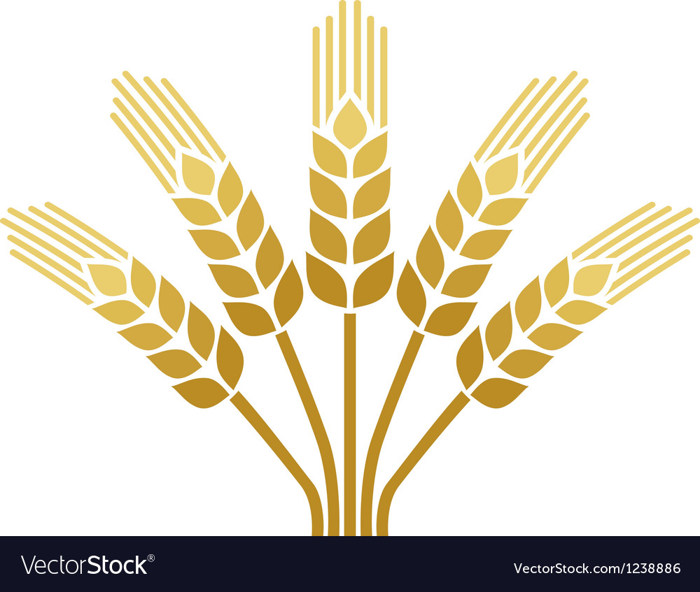 Wheat germ icon. Simple illustration of wheat germ vector icon for 