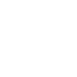 White Globe Icon Free Icons Library