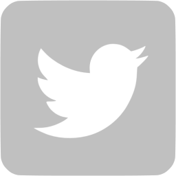 500  Twitter LOGO - Latest Twitter Logo, Icon, GIF, Transparent PNG